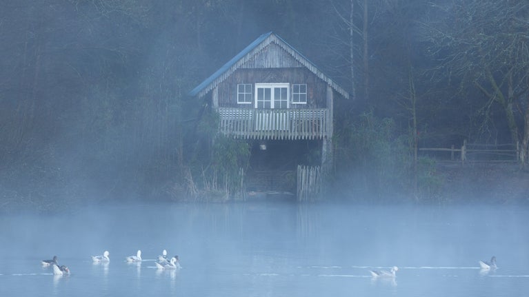 A misty winter's day view over the lake at Winkworth Arboretum, Surrey
